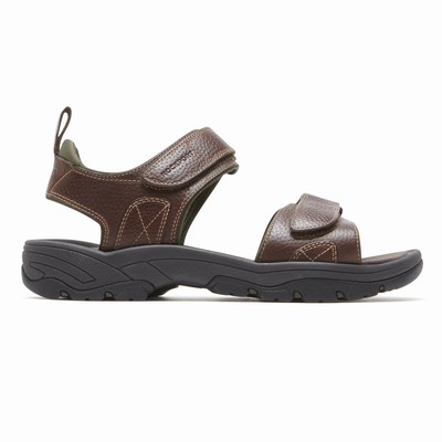 Sandálias Rockport SpringBoro Rocklake Homem Marrom PT-60821